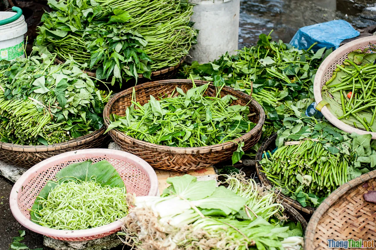 exported veggies, Vietnam, biotech produce