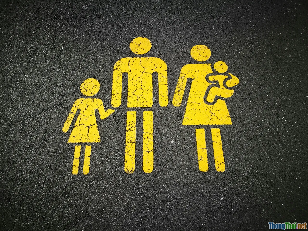 family, life stages, risk