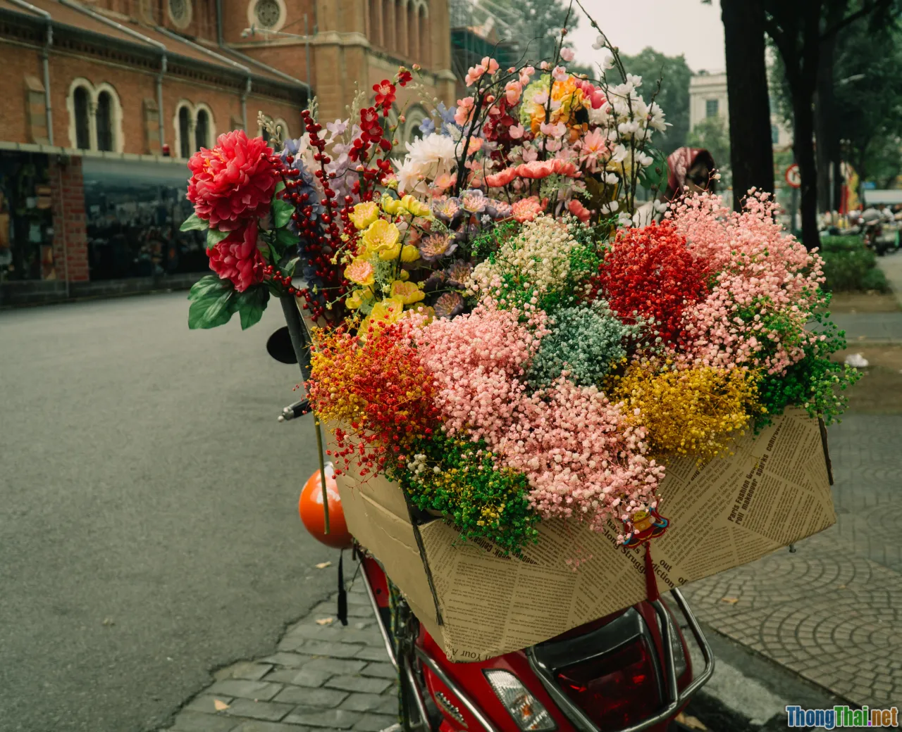 Hướng dẫn check in sống động tại lễ hội hoa ban Điện Biên