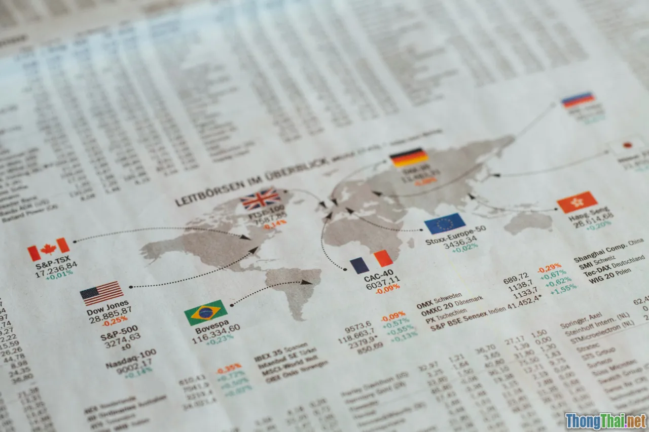 financial expert, economic consultation