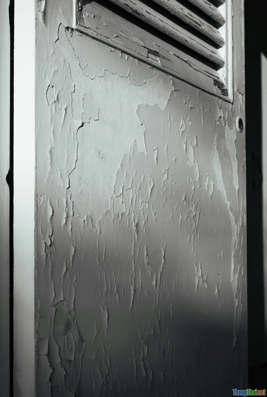 fridge gasket, door seal, condensation, frost