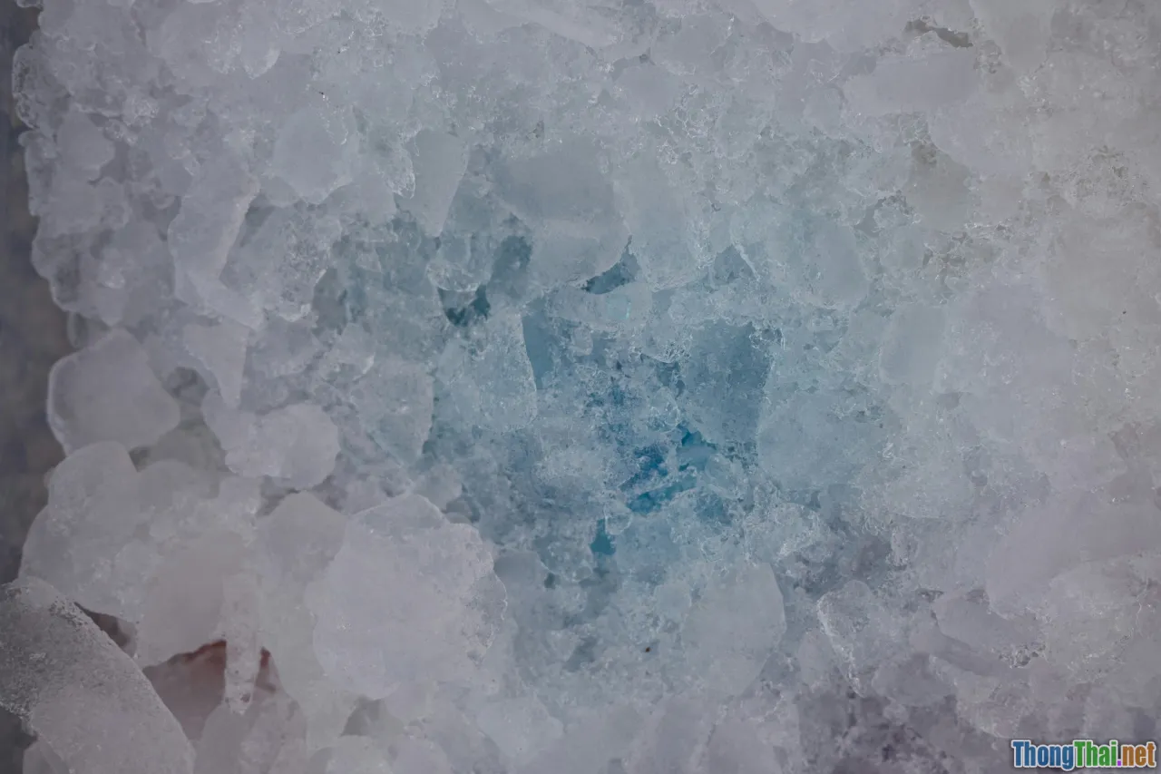 frozen food, cold chain, IQF, freezer