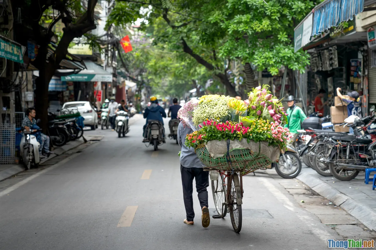 future income, vietnam podcast market, monetization