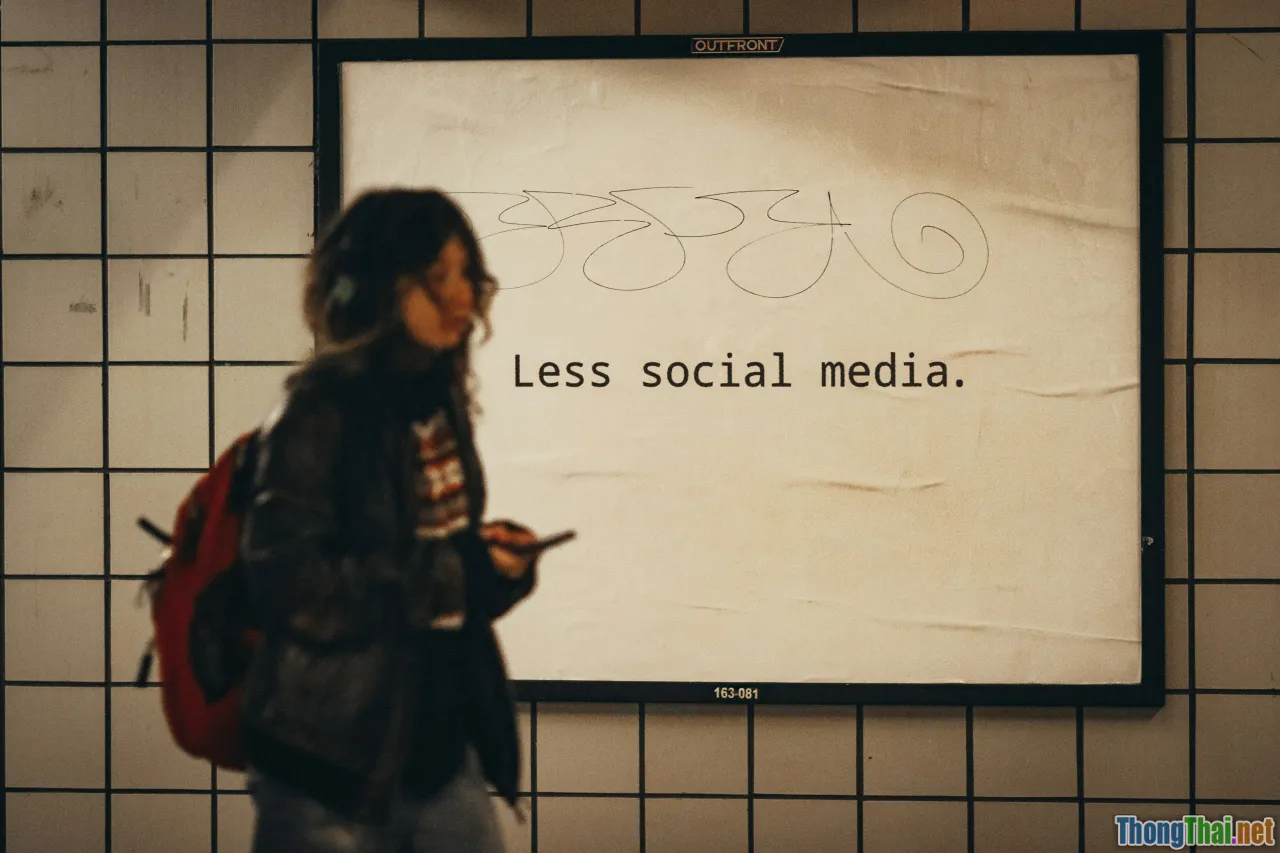 Gen Z, social capital, co-creation, memes