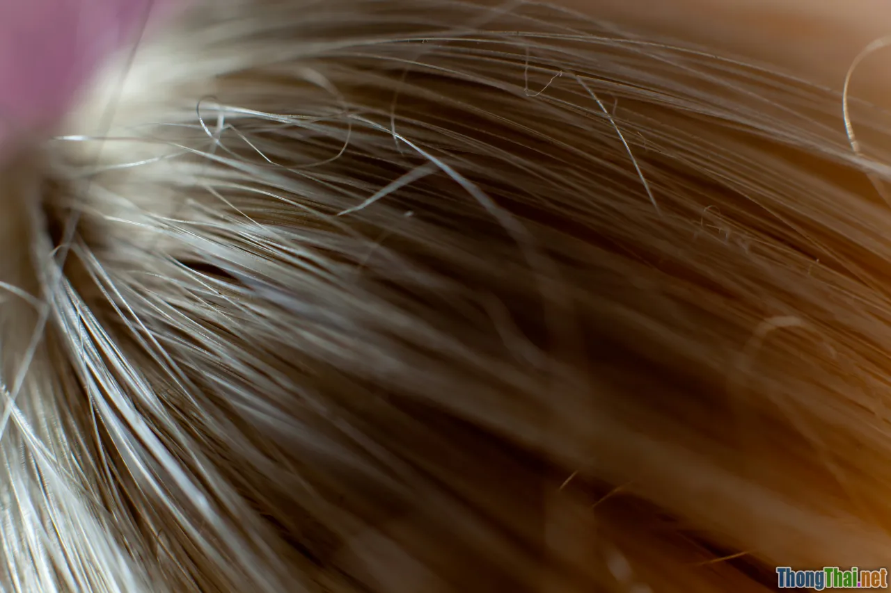 glossy vs greasy hair, hair texture closeup