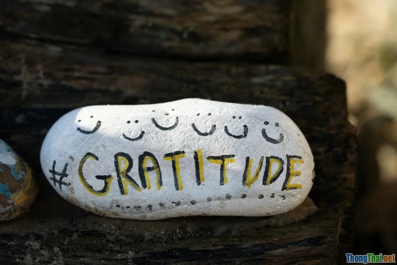 gratitude journal, reflections, positive emotions