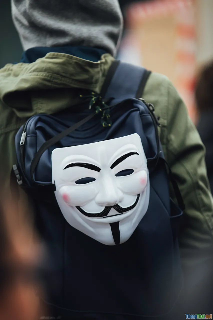 hacktivist, protest, political cyber attack