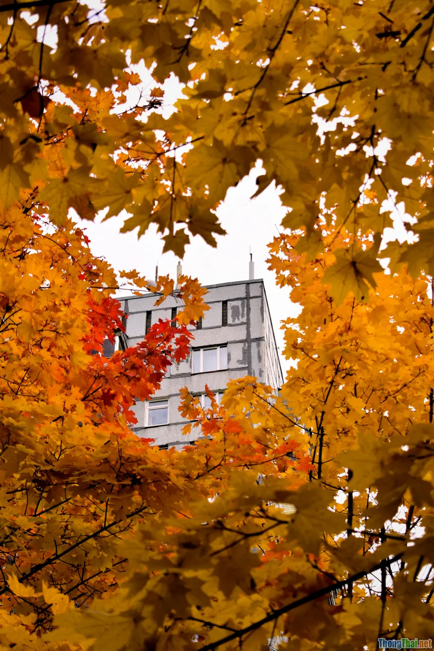 Halong landmarks, autumn selfie spots, modern architecture