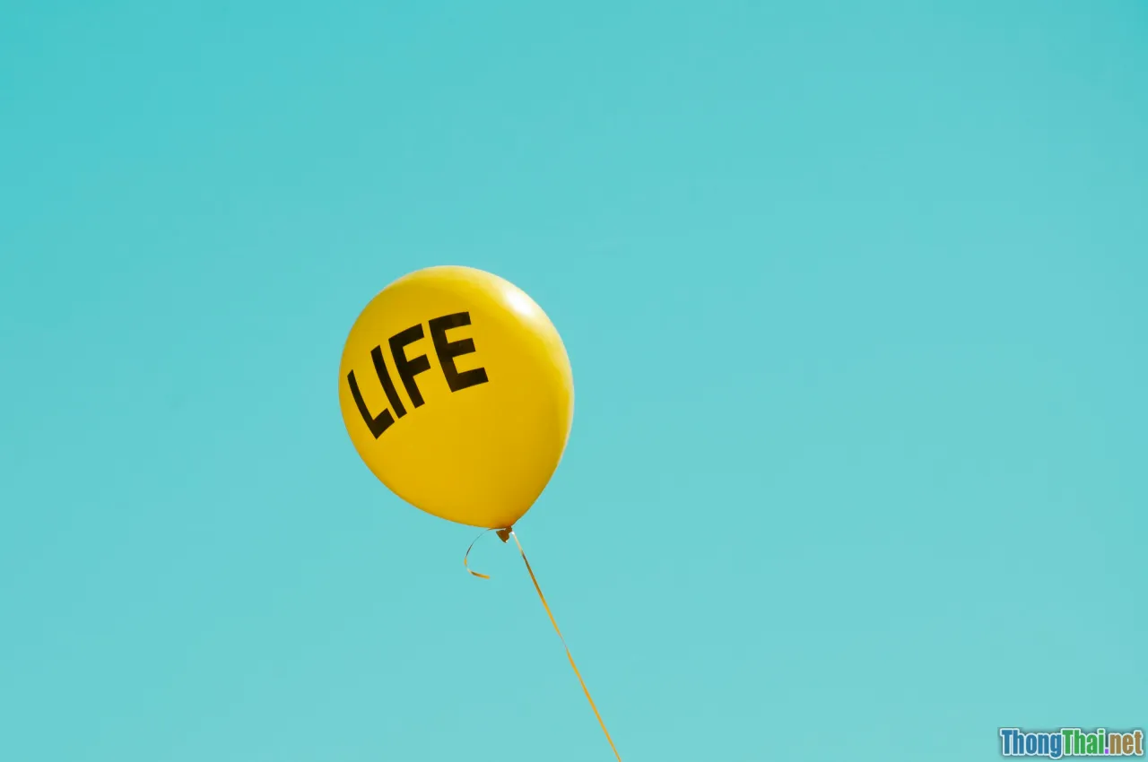 happiness, balance, lifestyle