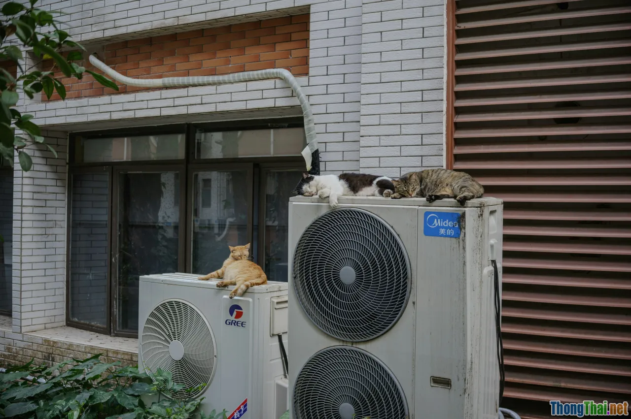 happy family, summer, air conditioner
