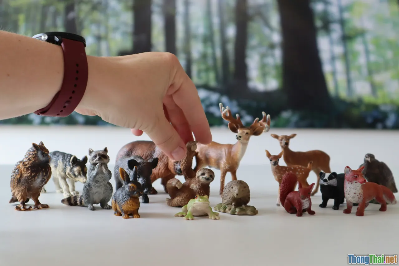 happy pet, playful animal, toys rotation