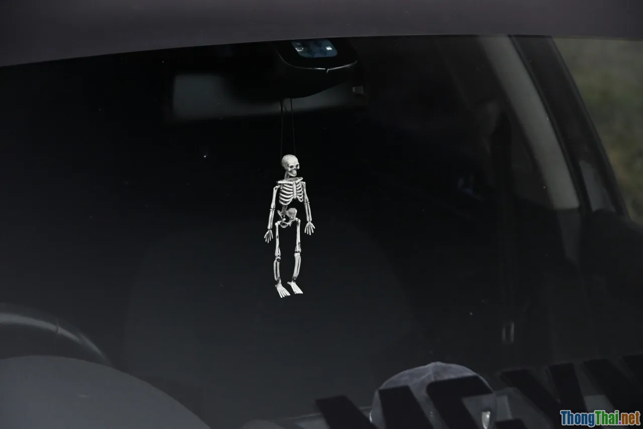 human driver, robotaxi, compare