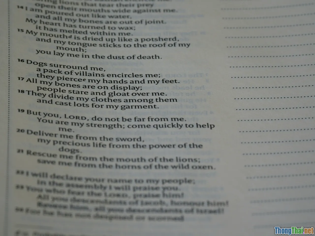 IELTS topics, essay practice