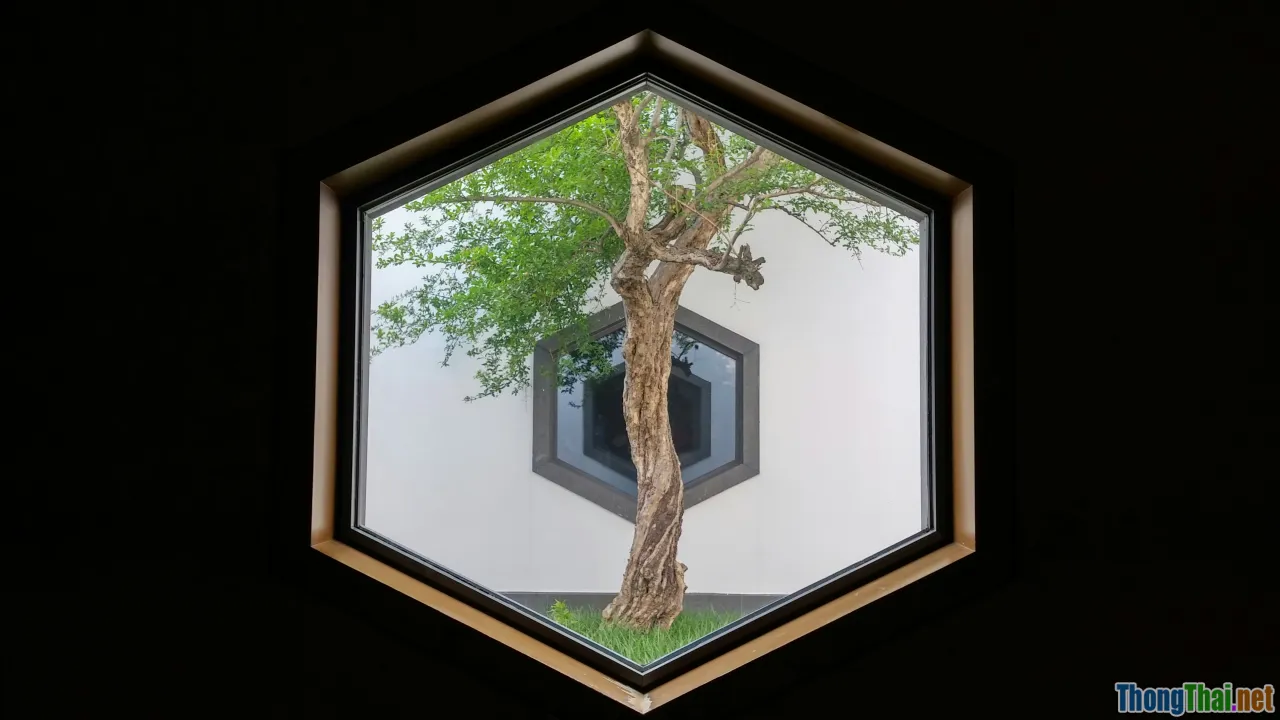 inheritance tree, class hierarchy, code reuse