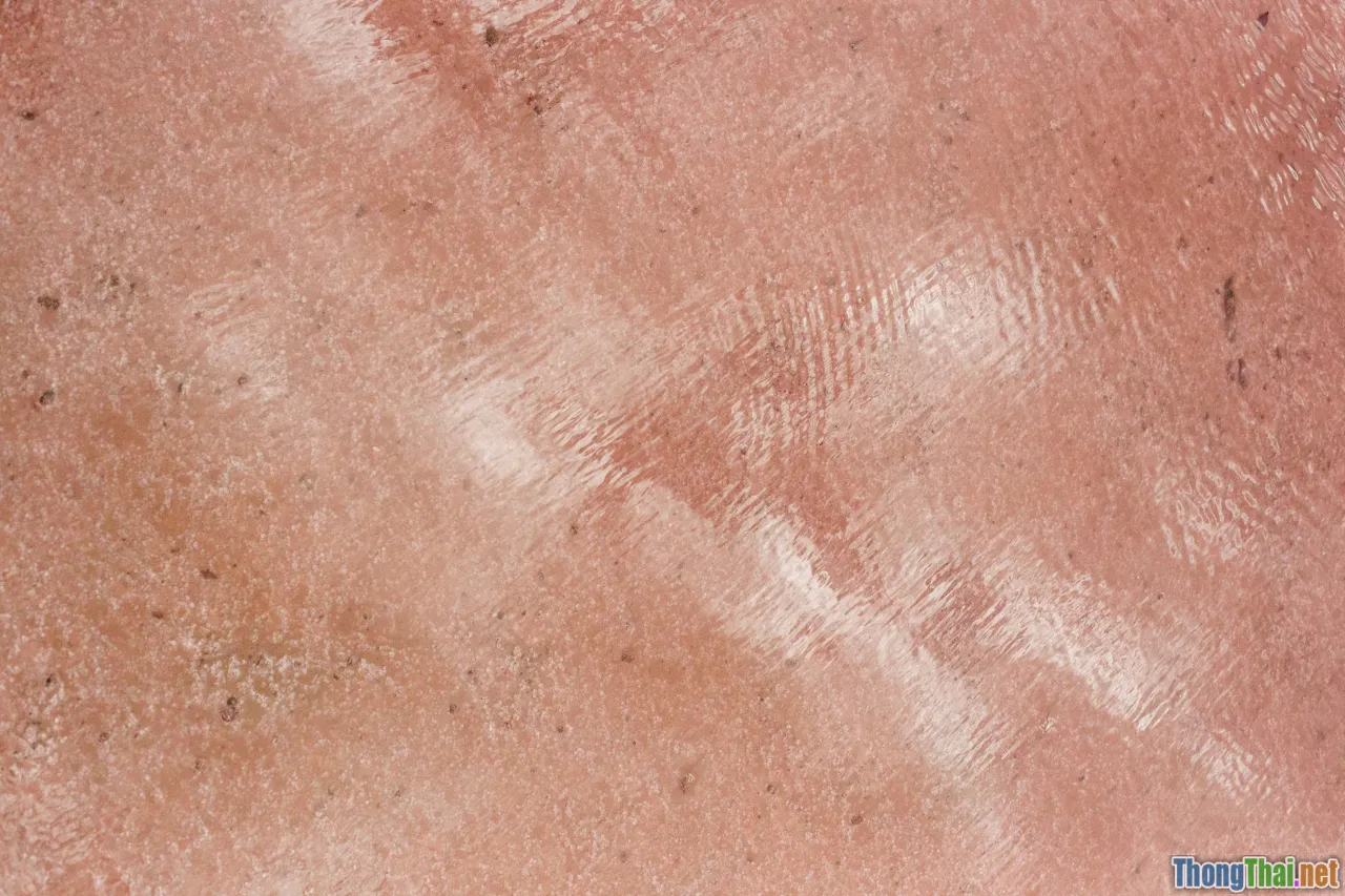 itchy dog, skin rash cat