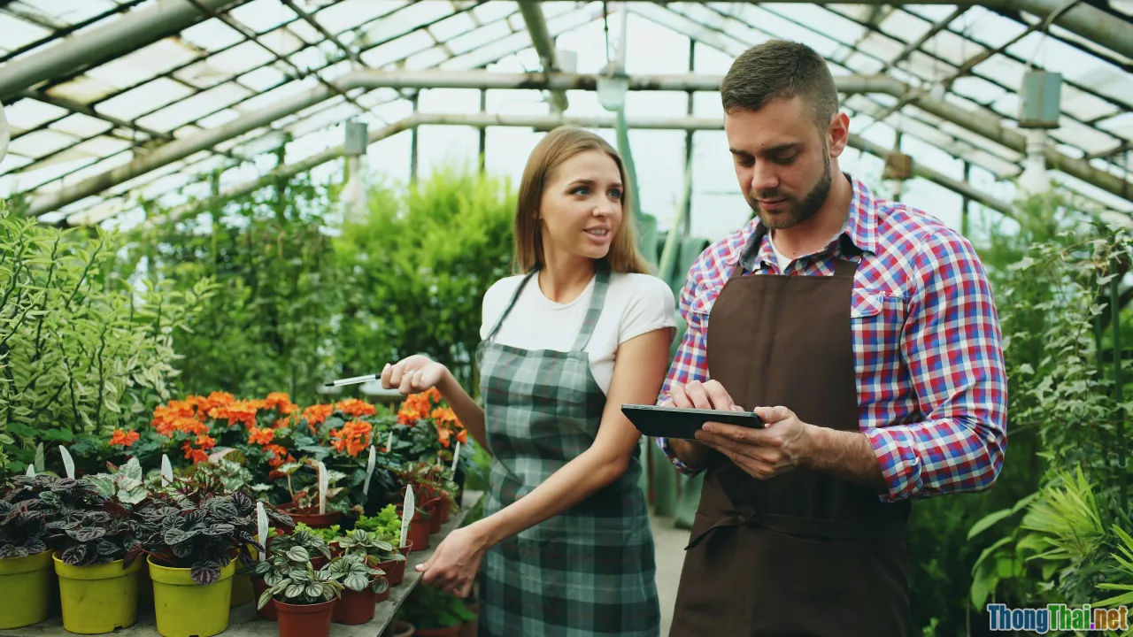 local nurseries, online shopping, quality check