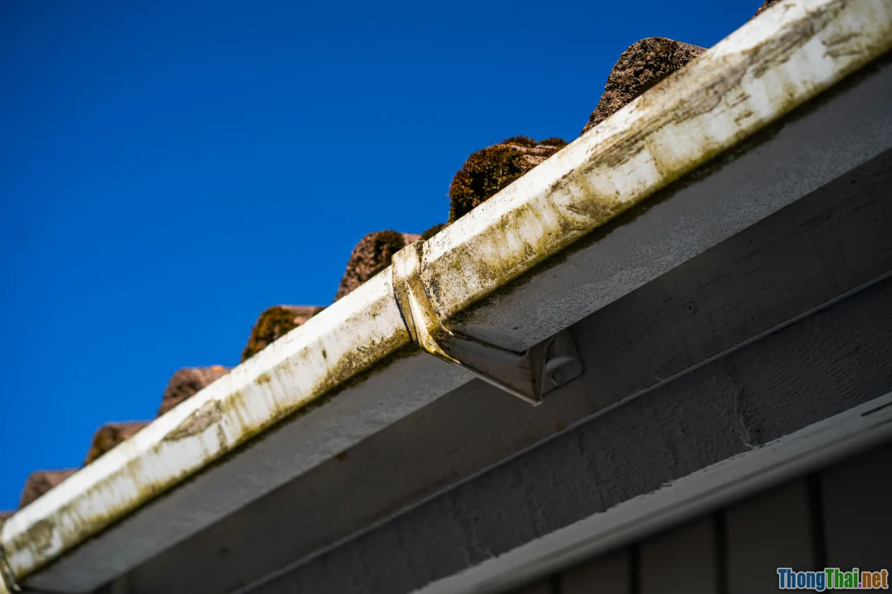 maintenance, mold, cleaning