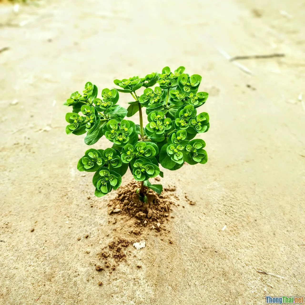 mindset transformation, money steps, self growth