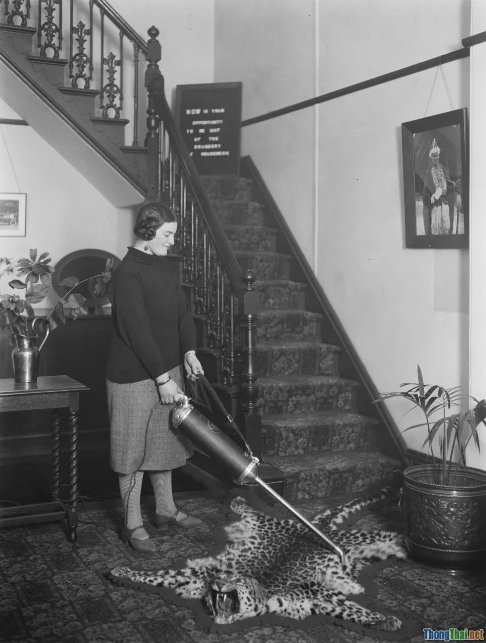 modern household, cleaning trend