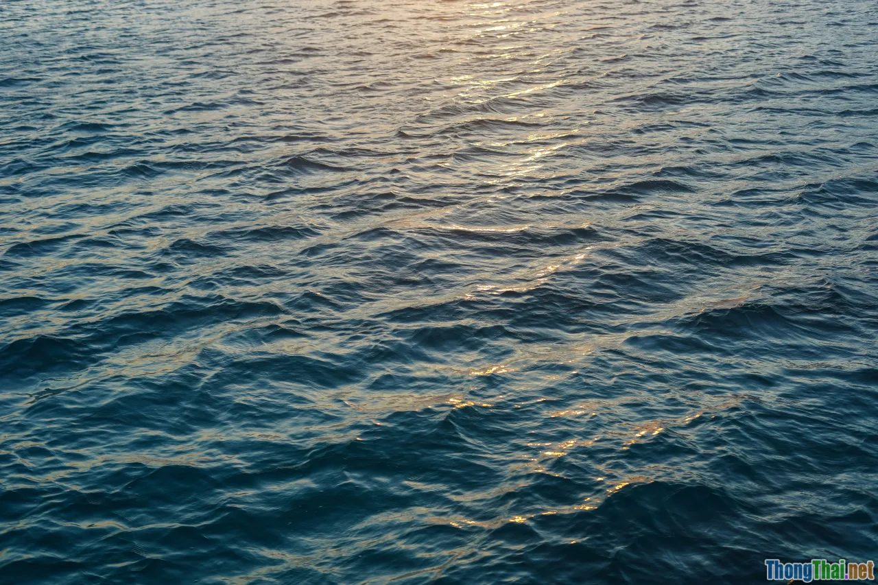 morning routine, sunlight, hydration, breathing