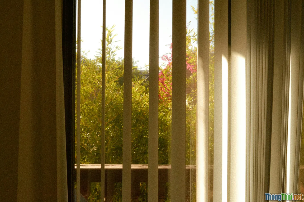 morning sunlight, window opened, fresh air, nature outside