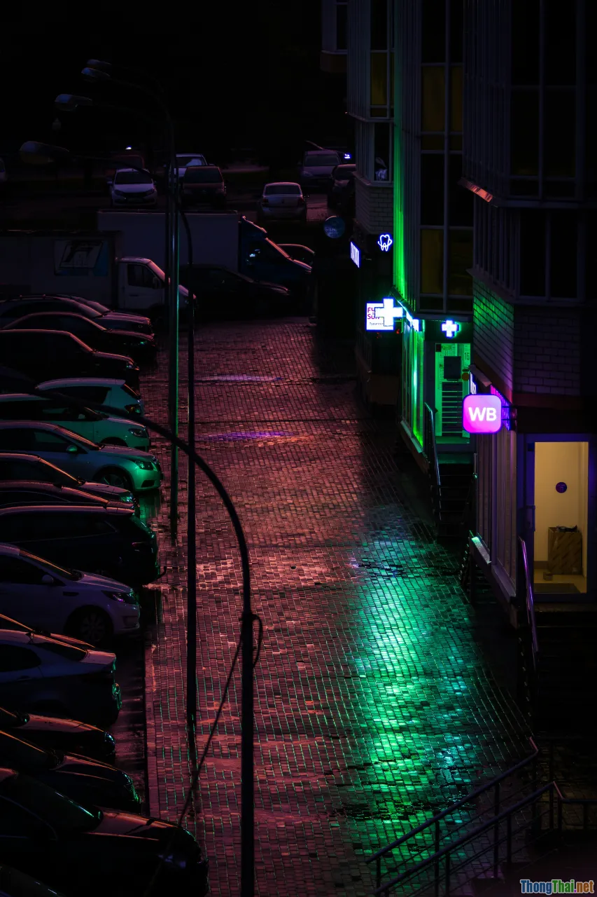 neon rain, dystopian city, moody streets