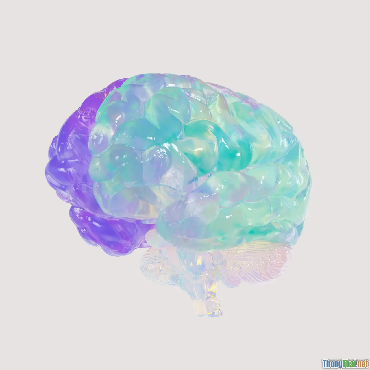 neuroscience, brain, positive thinking, wealth