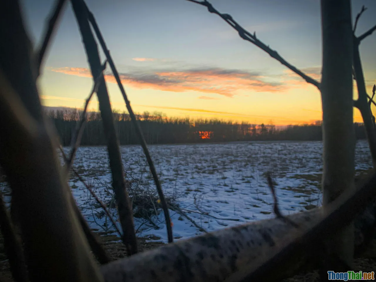 new beginning, opportunity, sunrise