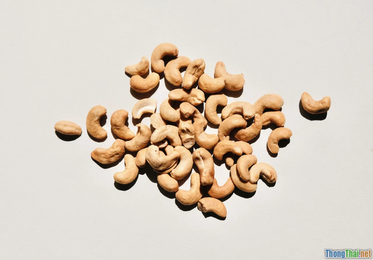 nutrition, probiotics, gut, kibble