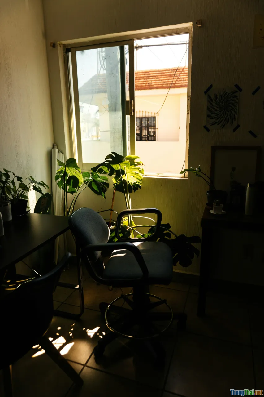 office break, workplace, relaxing