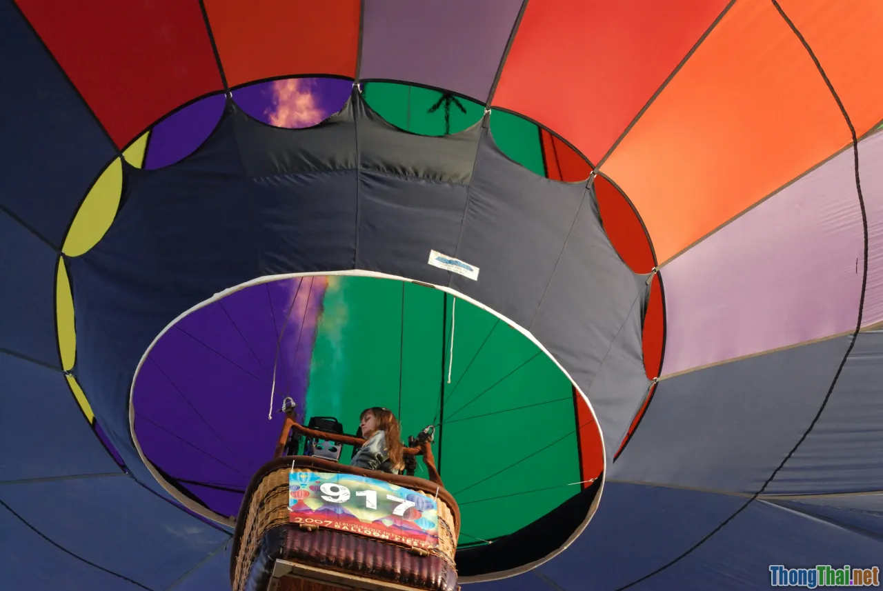old man, flying house, colorful balloons, adventure