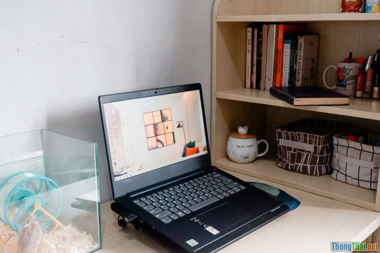 online consulting, laptop, home office