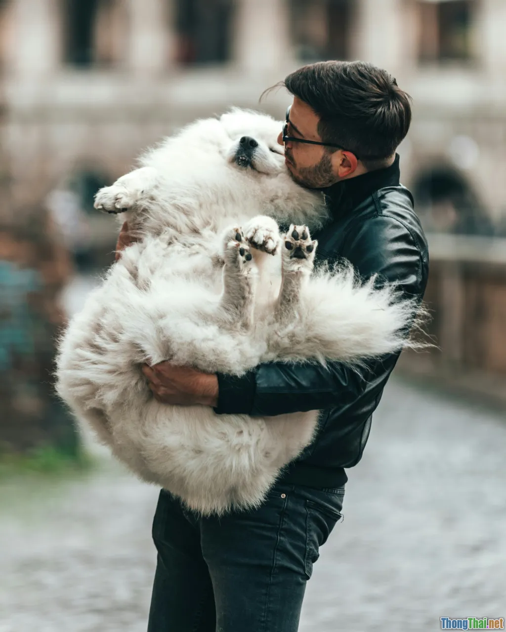 owner and husky, dog hugging