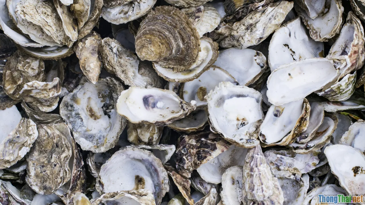 oyster, shellfish, zinc boost, hair health