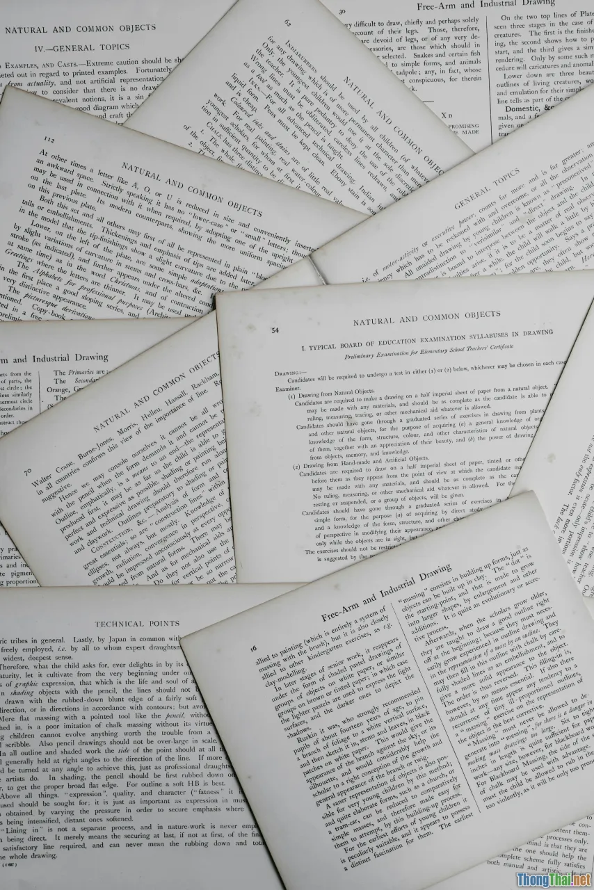 paragraph structure, topic sentence, essay format