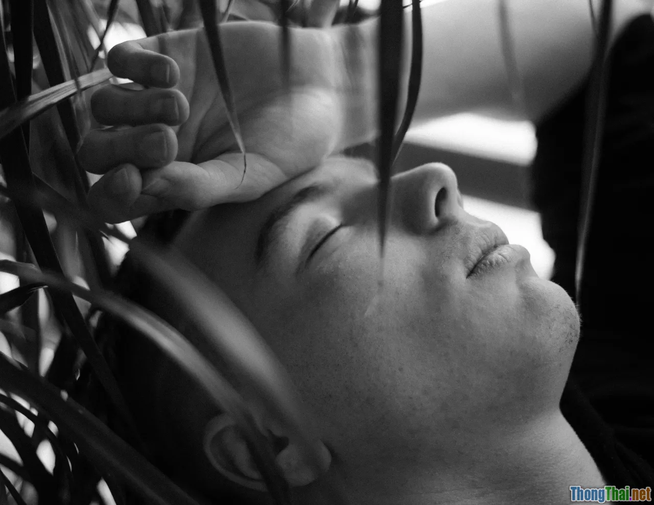 patient-doctor, energy session, open mind