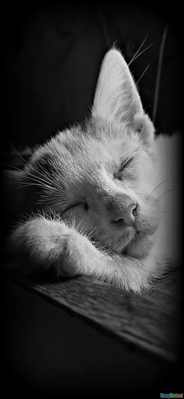 peaceful sleep, better living