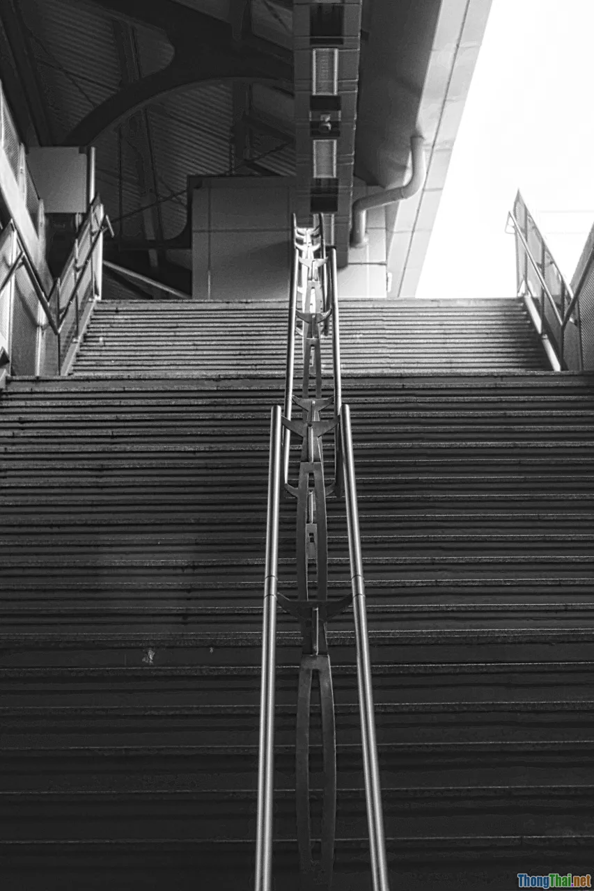 perseverance, adapt, innovation, success ladder