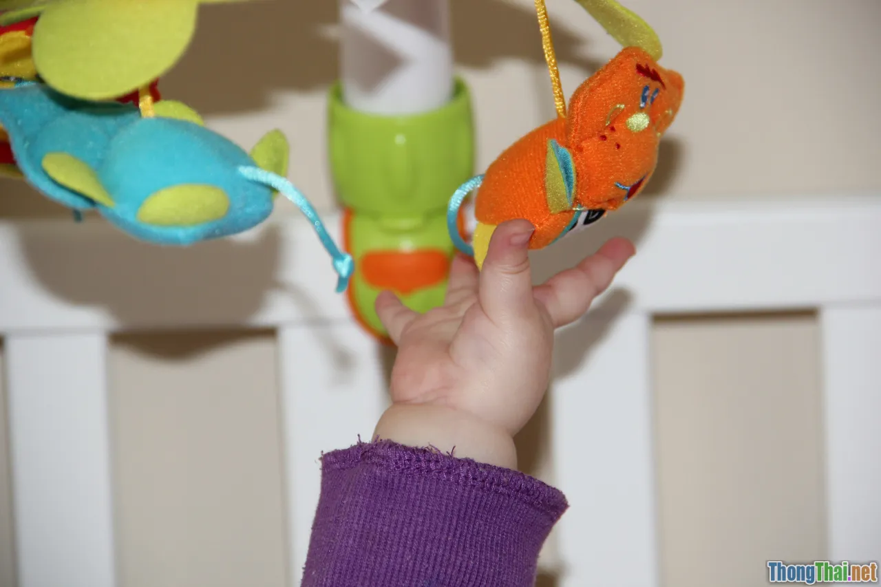 pet toy sound, interactive noise toy, play reaction
