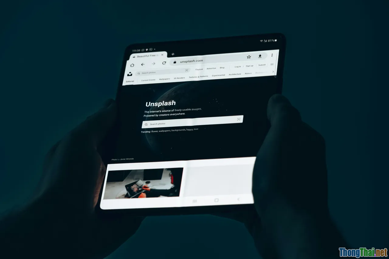 phishing, fake website