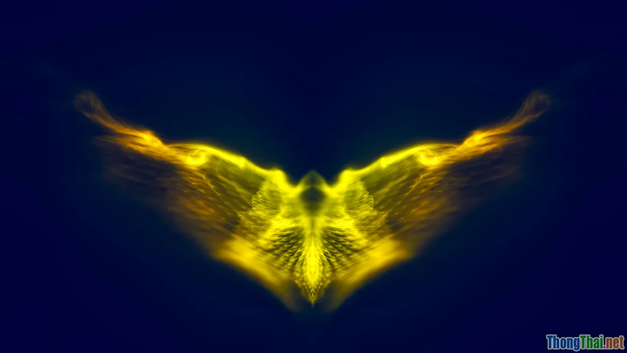 phoenix rise, determination, online rebirth