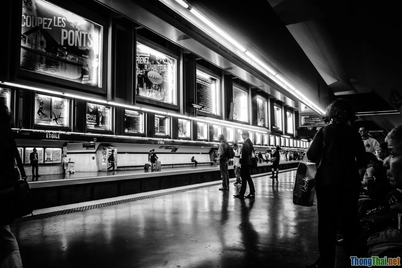 photography museum, cinema, theater