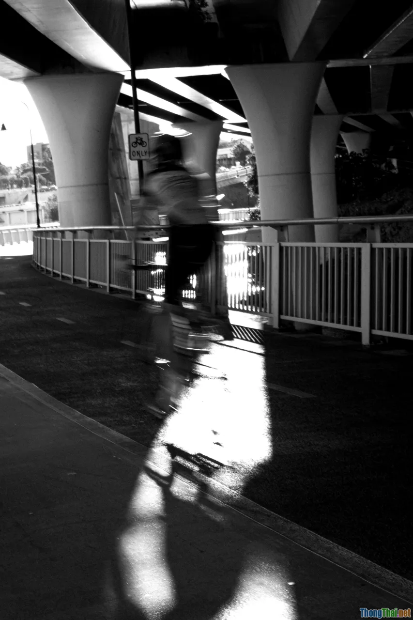 photography tips, golden hour, composition, candid moments