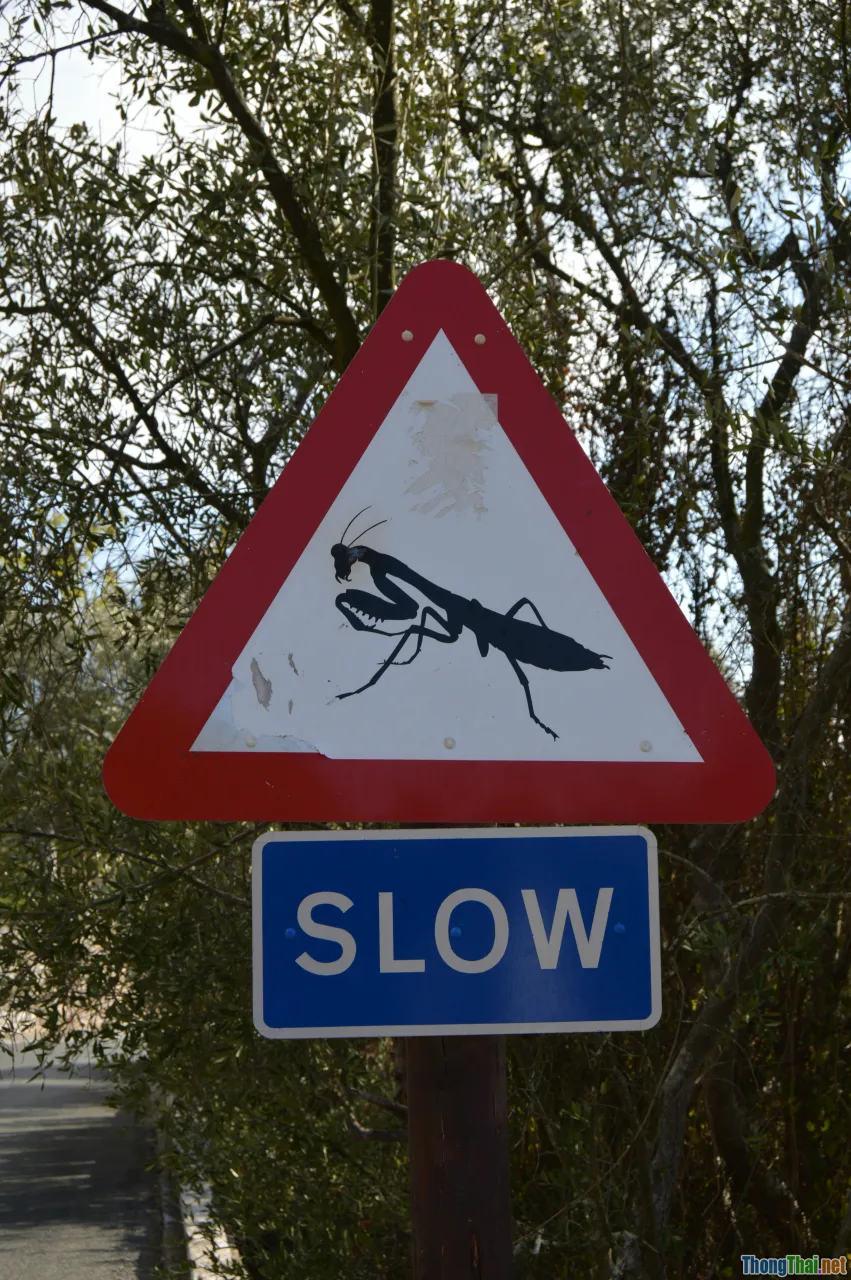 pitfalls, warnings, bugs