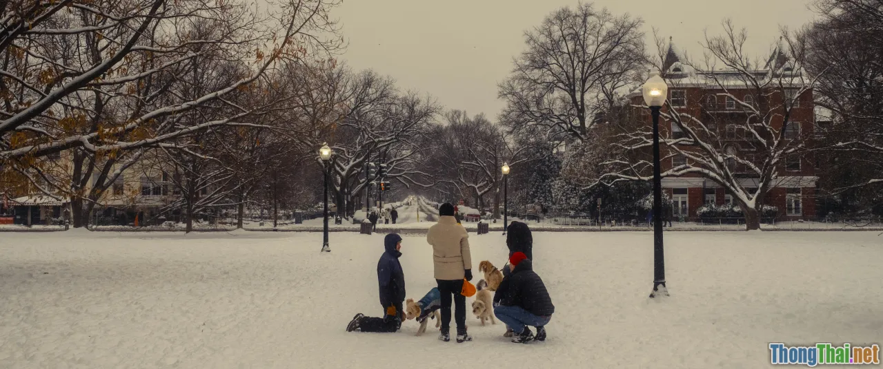 playlist, seasonal, family curation