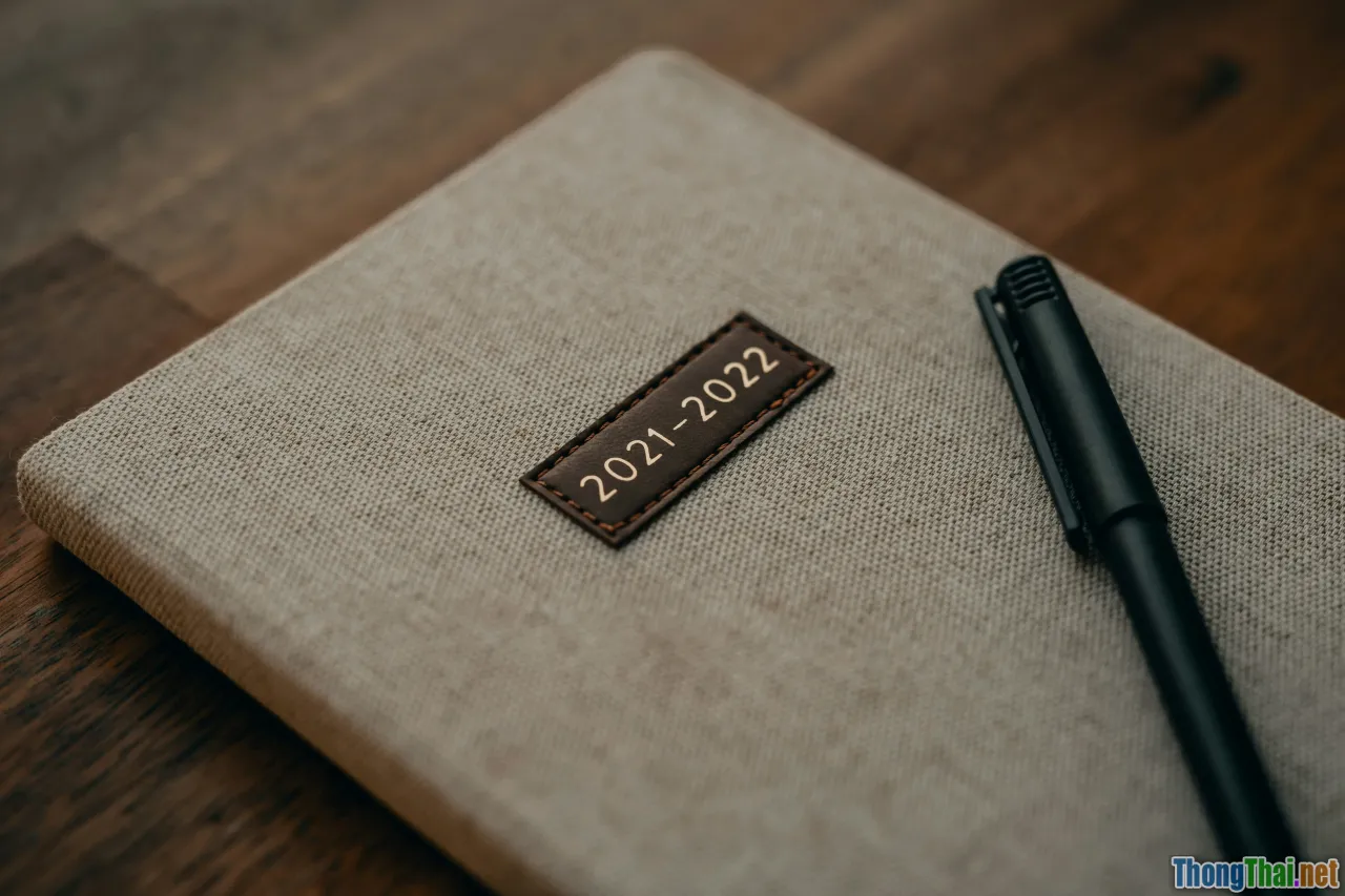 portfolio, mentor, projects