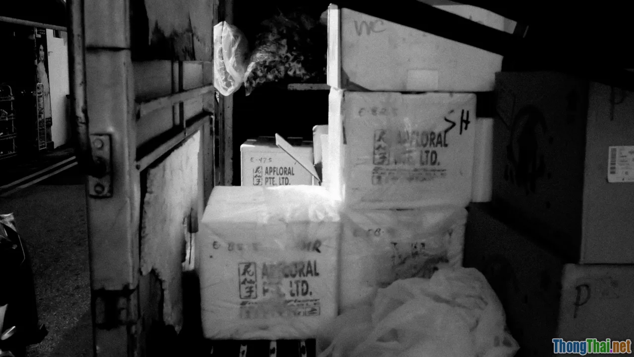 post-pandemic, inflation, supply chain