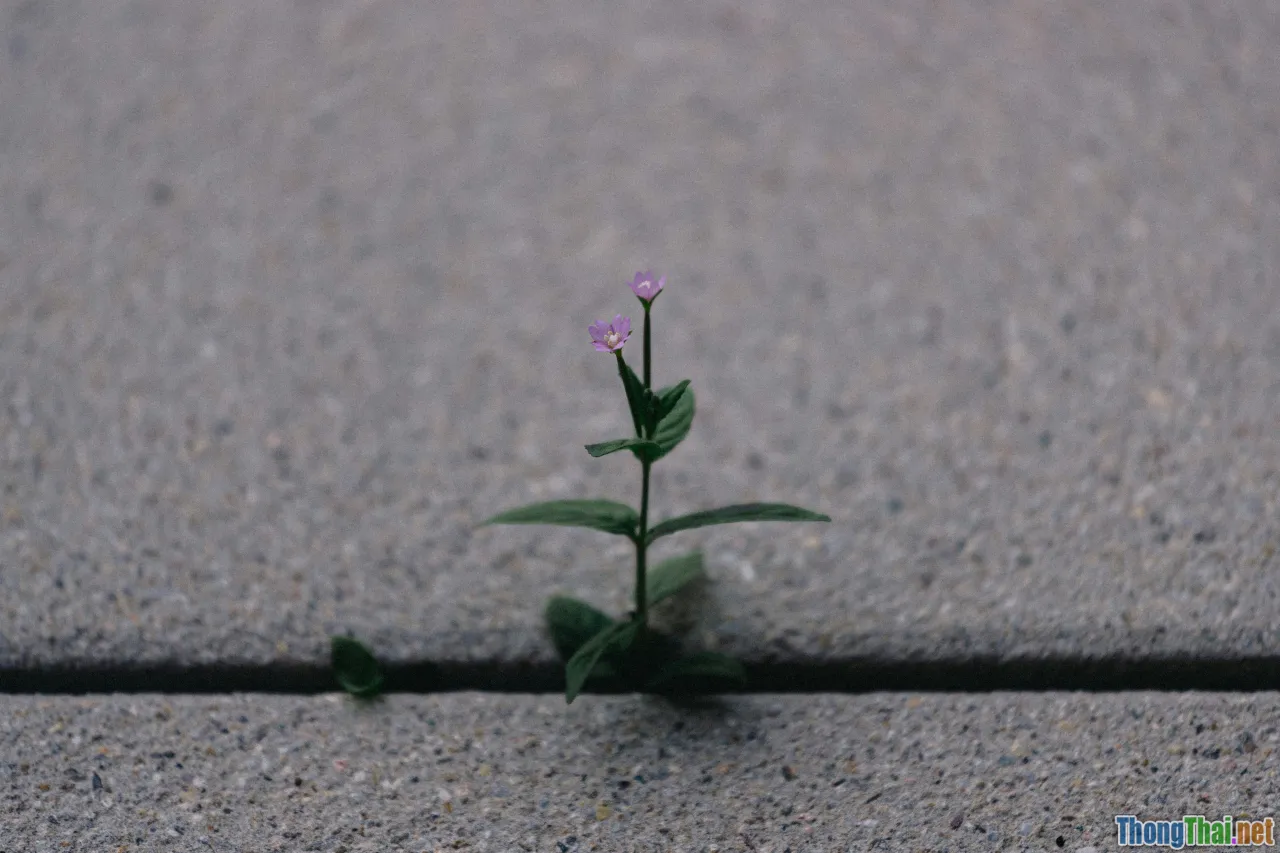 progress tracking, personal growth, achievement