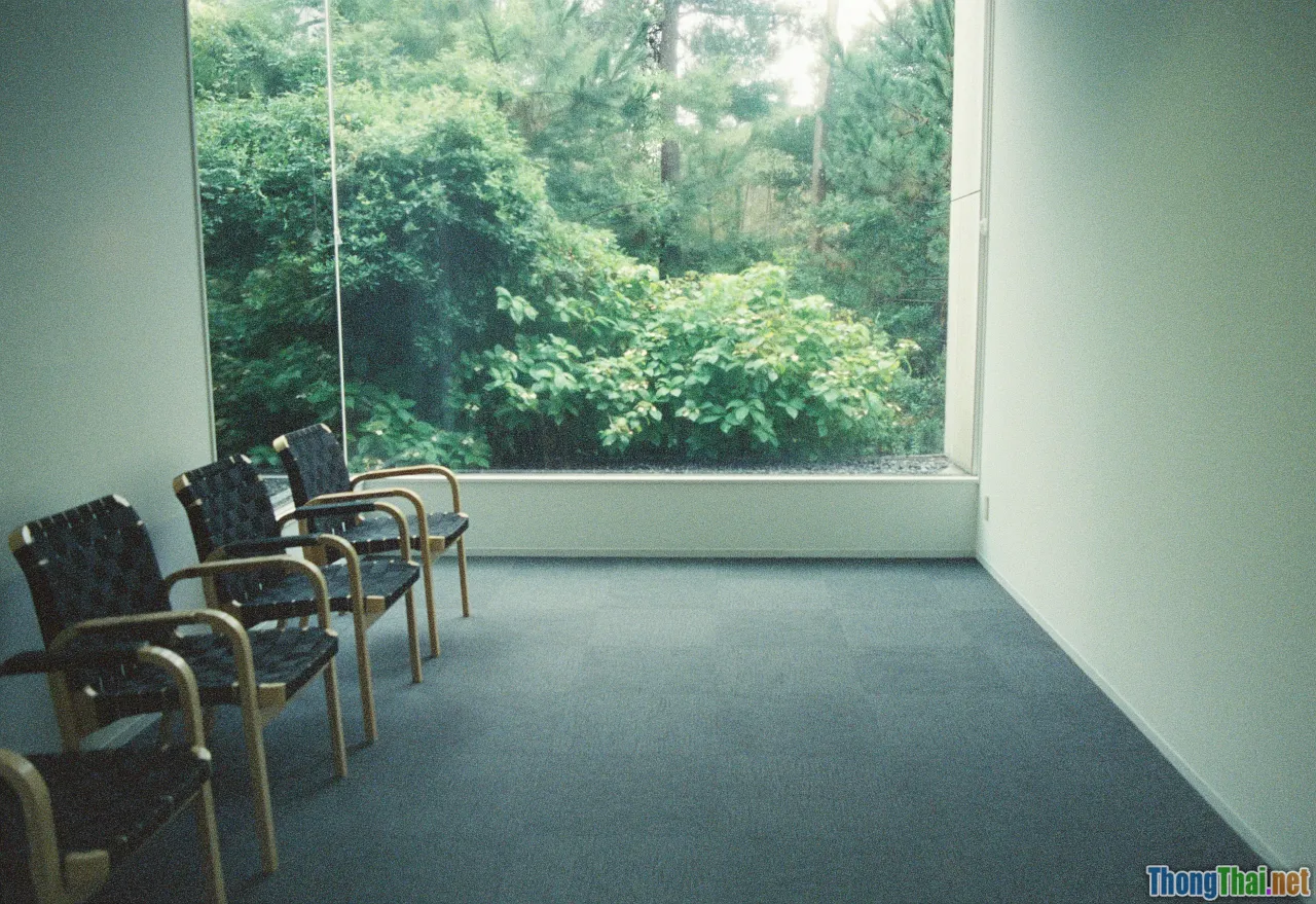 psychotherapy, individuality, session, counseling room