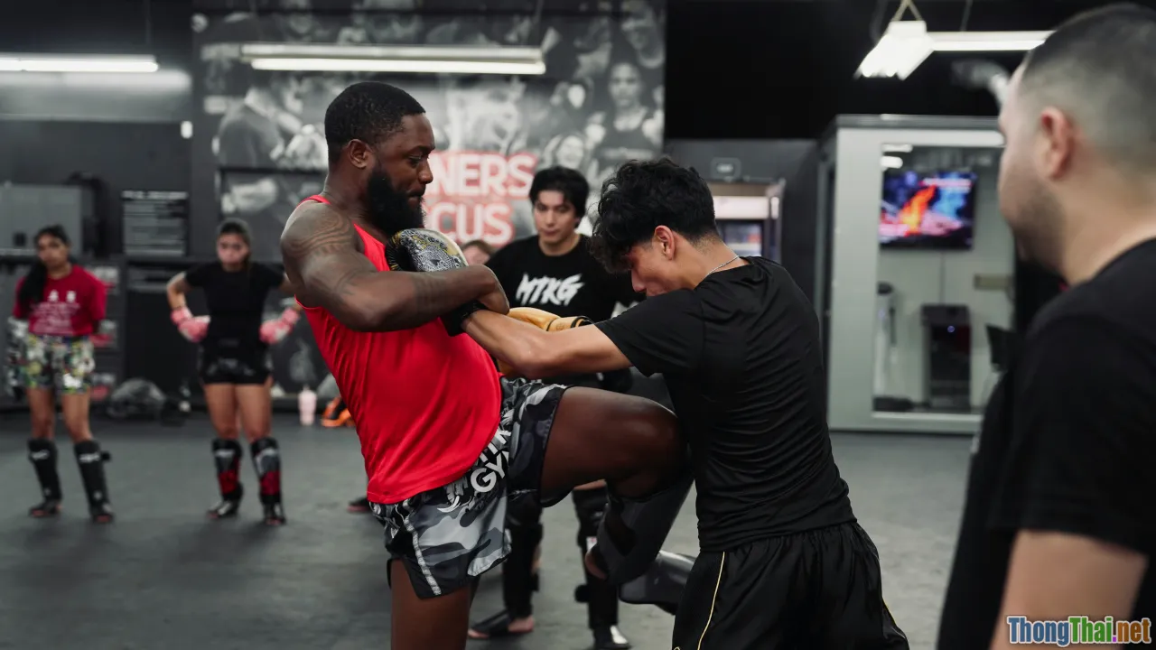 purpose, balance, wellbeing